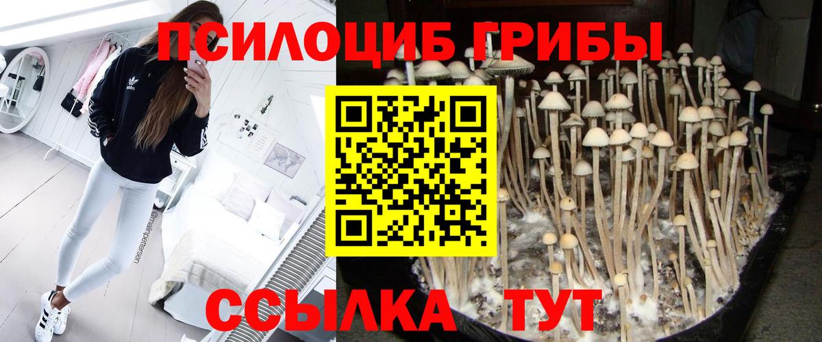 Галлюциногенные грибы Cubensis  Вход с VPN  Туапсе  Псилоцибиновые грибы прущие грибы 