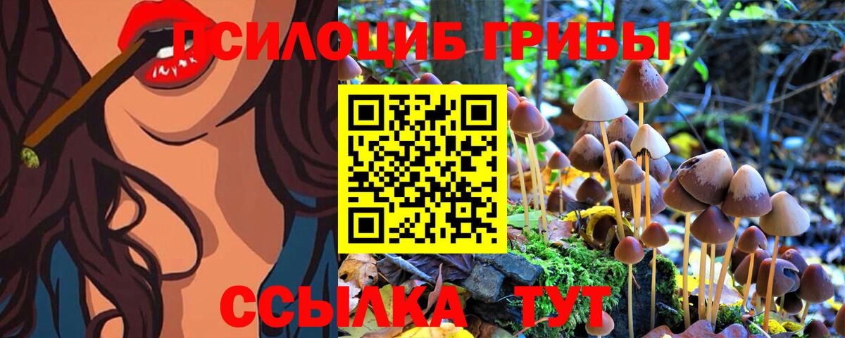 Псилоцибиновые грибы мицелий Туапсе